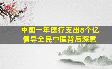 中国一年医疗支出8个亿 倡导全民中医背后深意